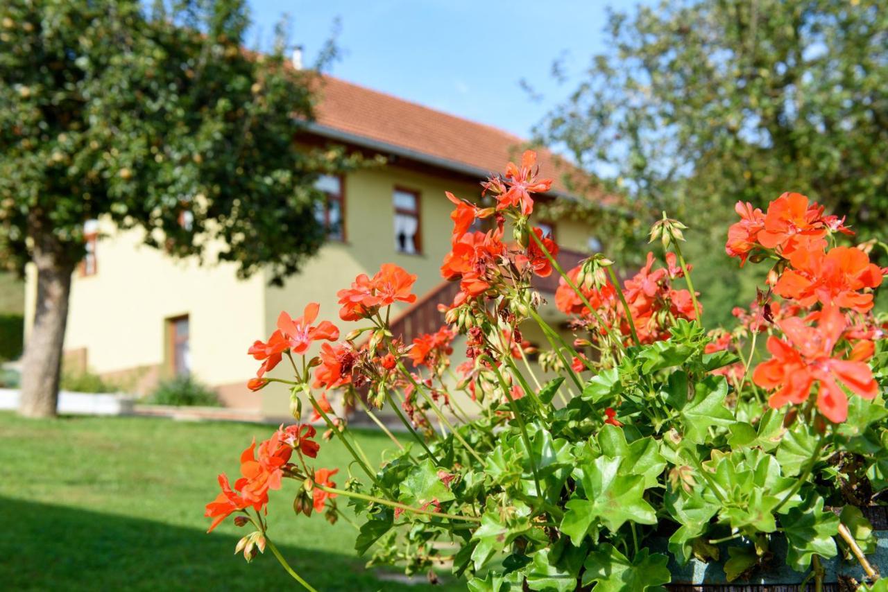 Ruralna Kuca 'Villa Zagorka' Za Odmor Sa Bazenom I Bocalistem Donja Pacetina Dış mekan fotoğraf