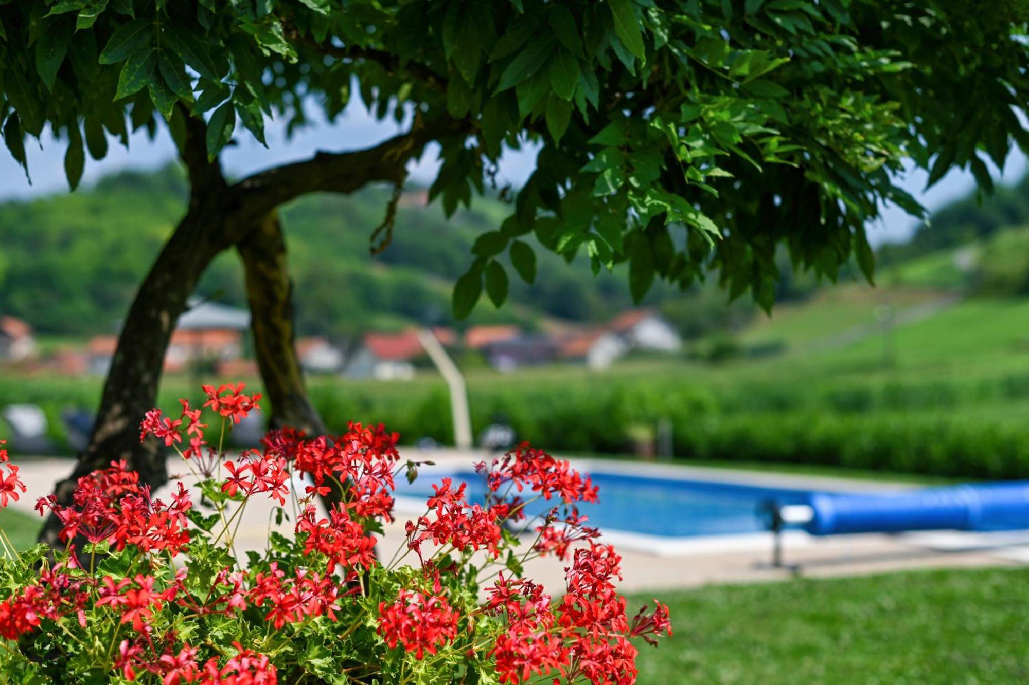Ruralna Kuca 'Villa Zagorka' Za Odmor Sa Bazenom I Bocalistem Donja Pacetina Dış mekan fotoğraf